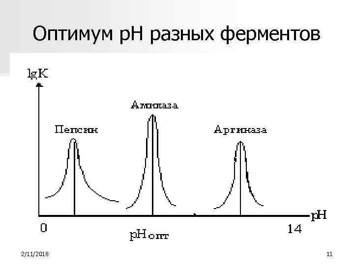 Оптимум р. Н разных ферментов 2/11/2018 11 