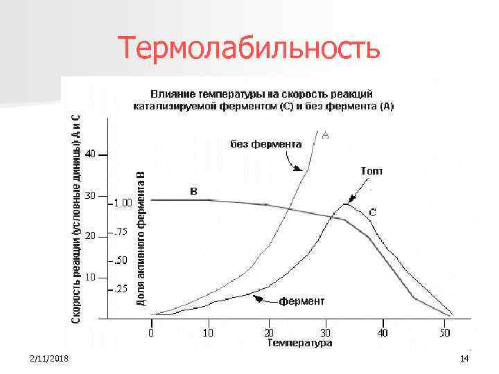 Термолабильность 2/11/2018 14 