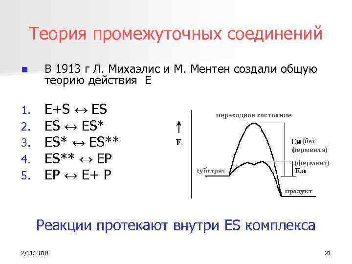 Теория промежуточных соединений n В 1913 г Л. Михаэлис и М. Ментен создали общую