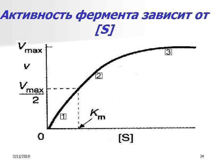 Активность фермента зависит от [S] 2/11/2018 24 