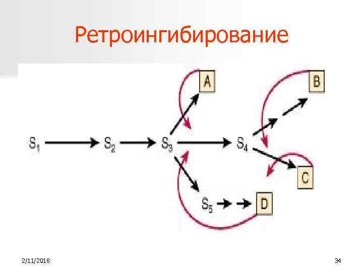 Ретроингибирование 2/11/2018 34 