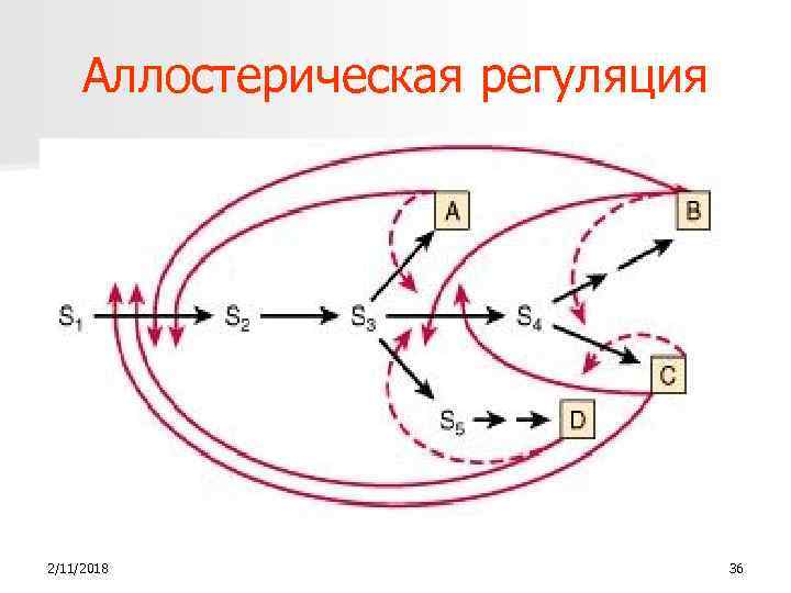 Аллостерическая регуляция 2/11/2018 36 