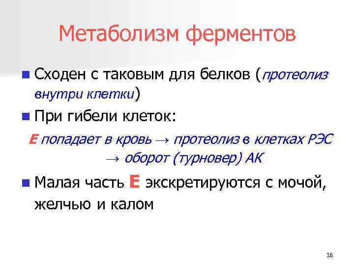 Метаболизм ферментов n Сходен с таковым для белков (протеолиз внутри клетки) n При гибели