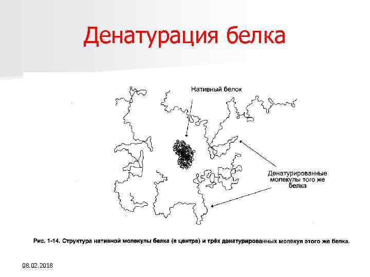 Денатурация белка 08. 02. 2018 