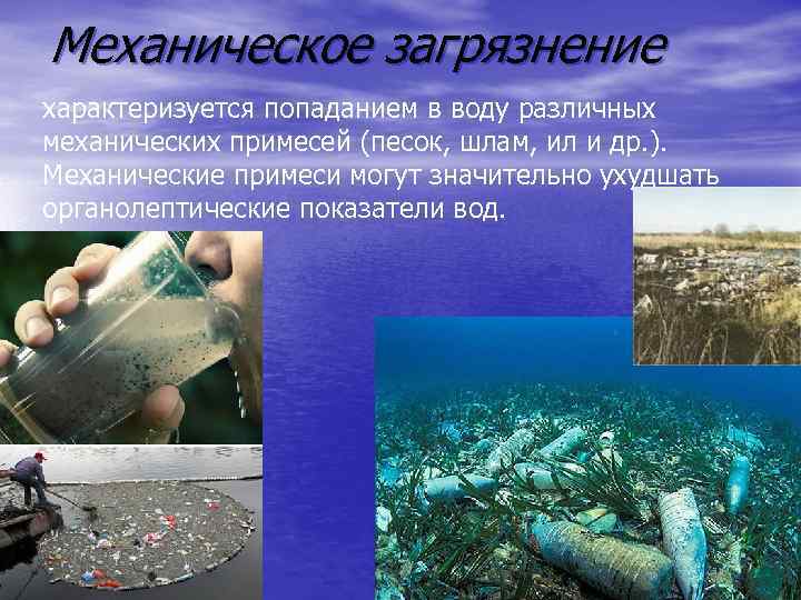 Исследовательский проект загрязнение воды