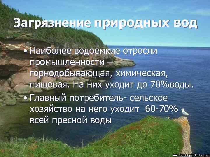 Загрязнение природных вод презентация