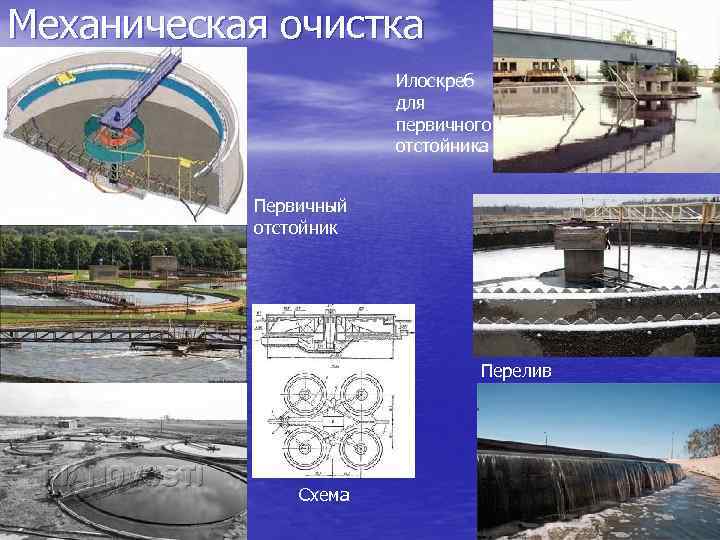 Исследовательский проект загрязнение воды