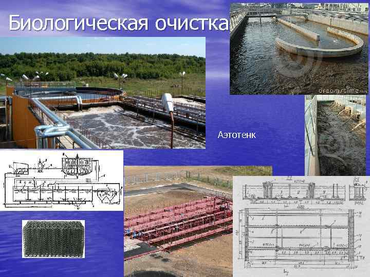 Исследовательский проект загрязнение воды