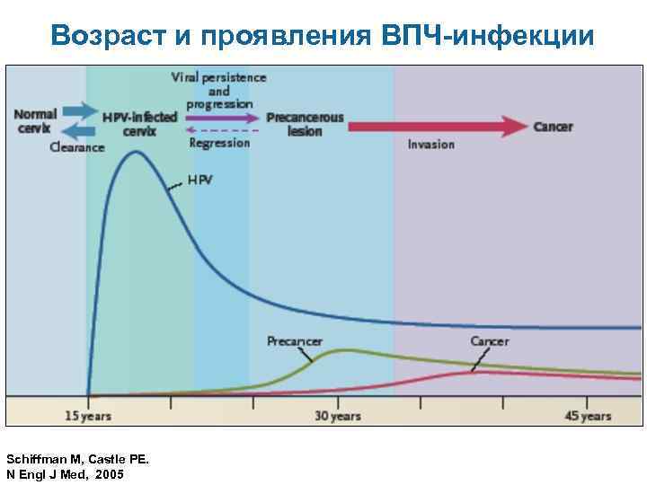 Возраст и проявления ВПЧ-инфекции Schiffman M, Castle PE. N Engl J Med, 2005 