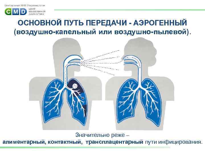 ОСНОВНОЙ ПУТЬ ПЕРЕДАЧИ - АЭРОГЕННЫЙ (воздушно-капельный или воздушно-пылевой). Значительно реже – алиментарный, контактный, трансплацентарный