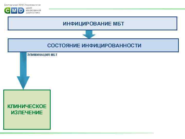 ИНФИЦИРОВАНИЕ МБТ СОСТОЯНИЕ ИНФИЦИРОВАННОСТИ ЭЛИМИНАЦИЯ МБТ КЛИНИЧЕСКОЕ ИЗЛЕЧЕНИЕ 