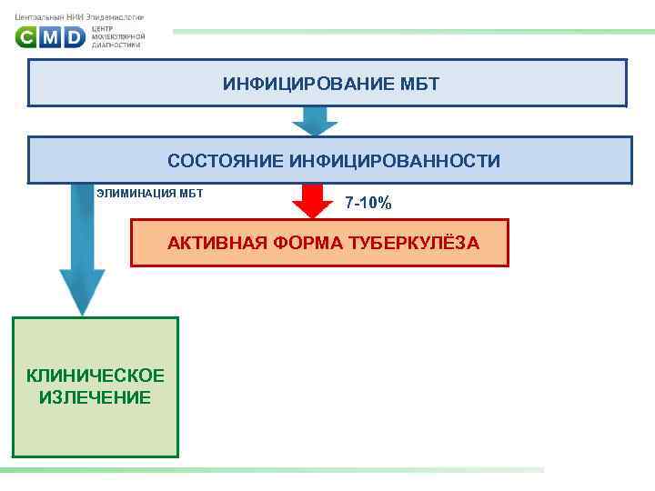 ИНФИЦИРОВАНИЕ МБТ СОСТОЯНИЕ ИНФИЦИРОВАННОСТИ ЭЛИМИНАЦИЯ МБТ 7 -10% АКТИВНАЯ ФОРМА ТУБЕРКУЛЁЗА КЛИНИЧЕСКОЕ ИЗЛЕЧЕНИЕ 