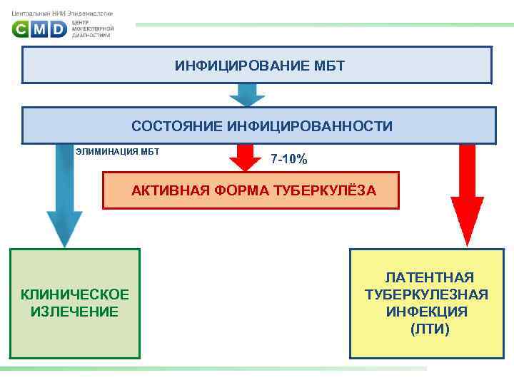 ИНФИЦИРОВАНИЕ МБТ СОСТОЯНИЕ ИНФИЦИРОВАННОСТИ ЭЛИМИНАЦИЯ МБТ 7 -10% АКТИВНАЯ ФОРМА ТУБЕРКУЛЁЗА КЛИНИЧЕСКОЕ ИЗЛЕЧЕНИЕ ЛАТЕНТНАЯ