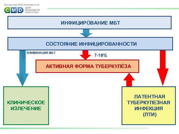 ИНФИЦИРОВАНИЕ МБТ СОСТОЯНИЕ ИНФИЦИРОВАННОСТИ ЭЛИМИНАЦИЯ МБТ 7 -10% АКТИВНАЯ ФОРМА ТУБЕРКУЛЁЗА КЛИНИЧЕСКОЕ ИЗЛЕЧЕНИЕ ЛАТЕНТНАЯ