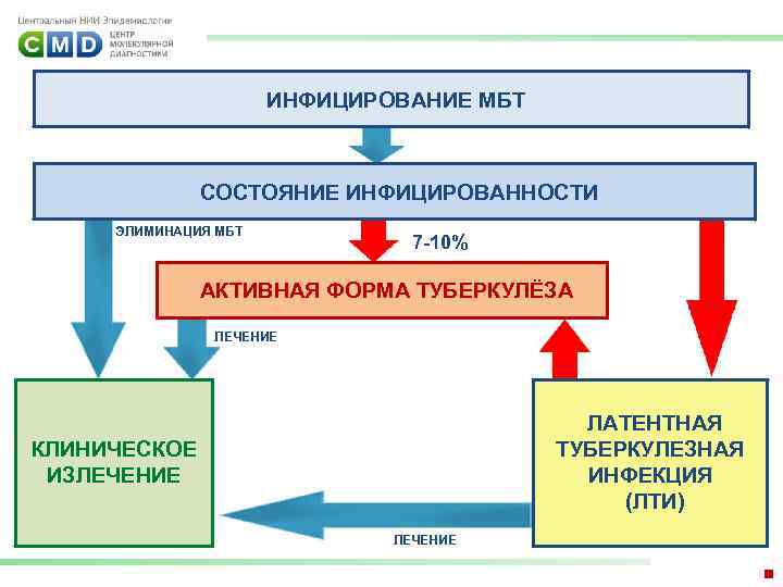 ИНФИЦИРОВАНИЕ МБТ СОСТОЯНИЕ ИНФИЦИРОВАННОСТИ ЭЛИМИНАЦИЯ МБТ 7 -10% АКТИВНАЯ ФОРМА ТУБЕРКУЛЁЗА ЛЕЧЕНИЕ ЛАТЕНТНАЯ ТУБЕРКУЛЕЗНАЯ