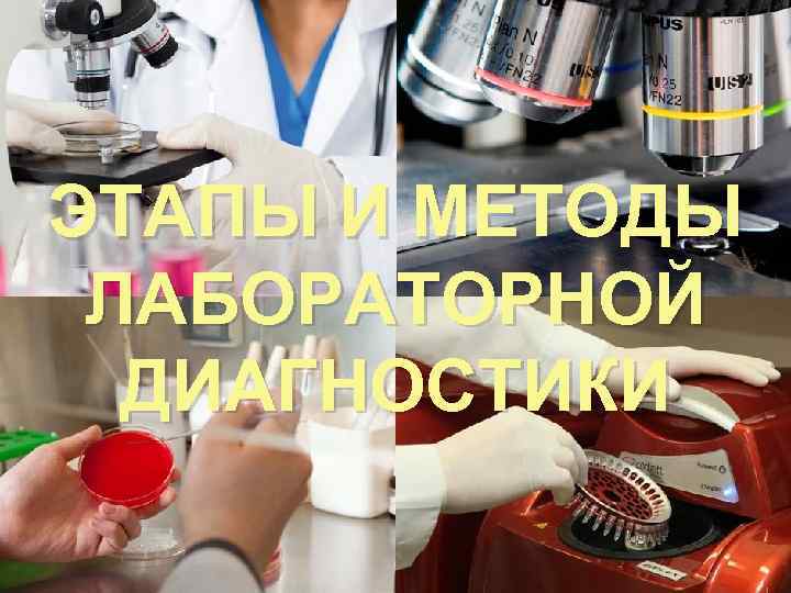 ЭТАПЫ И МЕТОДЫ ЛАБОРАТОРНОЙ ДИАГНОСТИКИ 