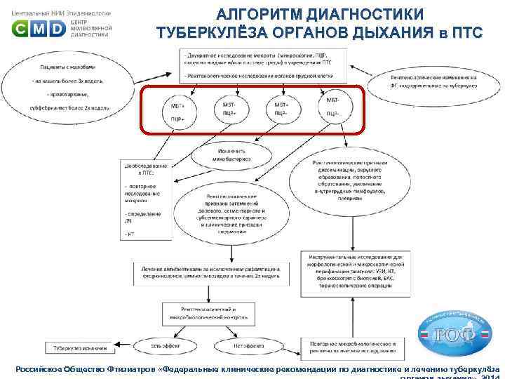 АЛГОРИТМ ДИАГНОСТИКИ ТУБЕРКУЛЁЗА ОРГАНОВ ДЫХАНИЯ в ПТС Российское Общество Фтизиатров «Федеральные клинические рекомендации по