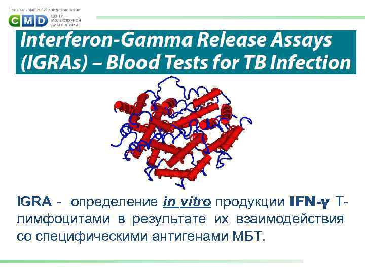 IGRA - определение in vitro продукции IFN-γ Тлимфоцитами в результате их взаимодействия со специфическими