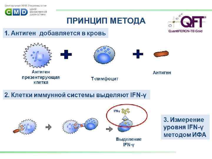 ПРИНЦИП МЕТОДА 