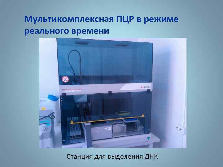 Мультикомплексная ПЦР в режиме реального времени Станция для выделения ДНК 