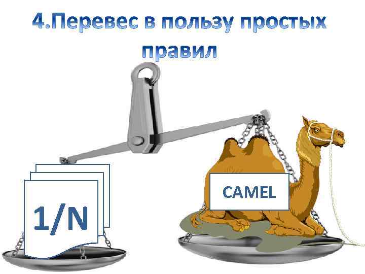 1/N CAMEL 
