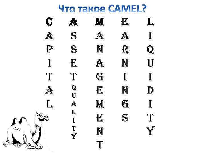 C a p i t a l A s s e t q u