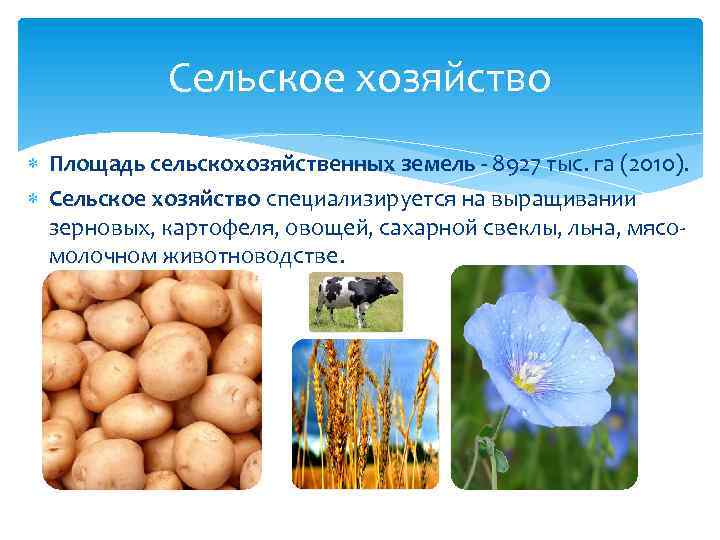 Сельское хозяйство Площадь сельскохозяйственных земель - 8927 тыс. га (2010). Сельское хозяйство специализируется на