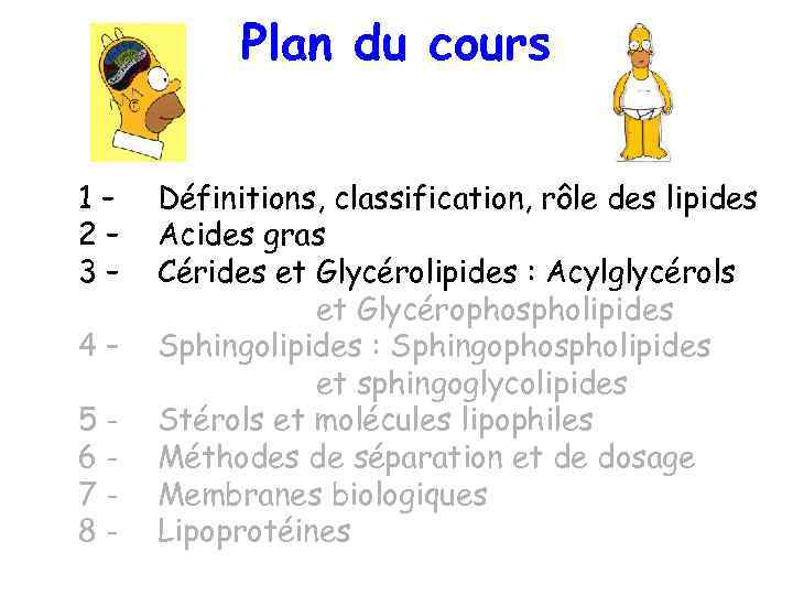 Plan du cours 1– 2– 3– 4– 5678 - Définitions, classification, rôle des lipides