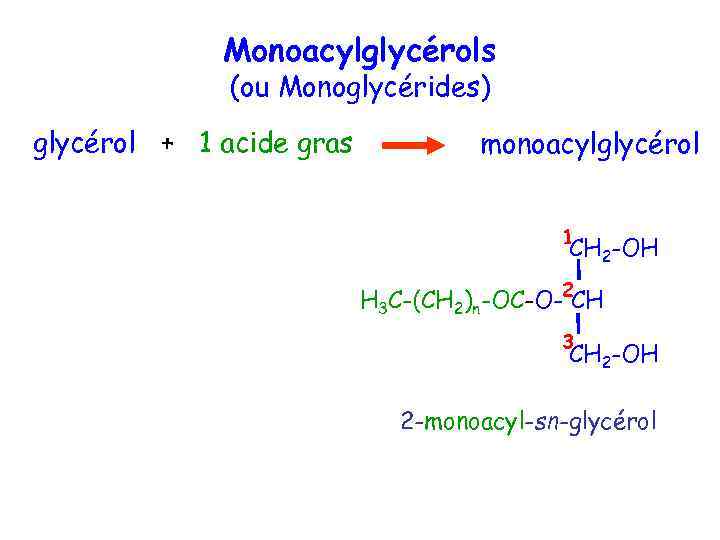 Monoacylglycérols (ou Monoglycérides) glycérol + 1 acide gras monoacylglycérol 1 CH 2 -OH H