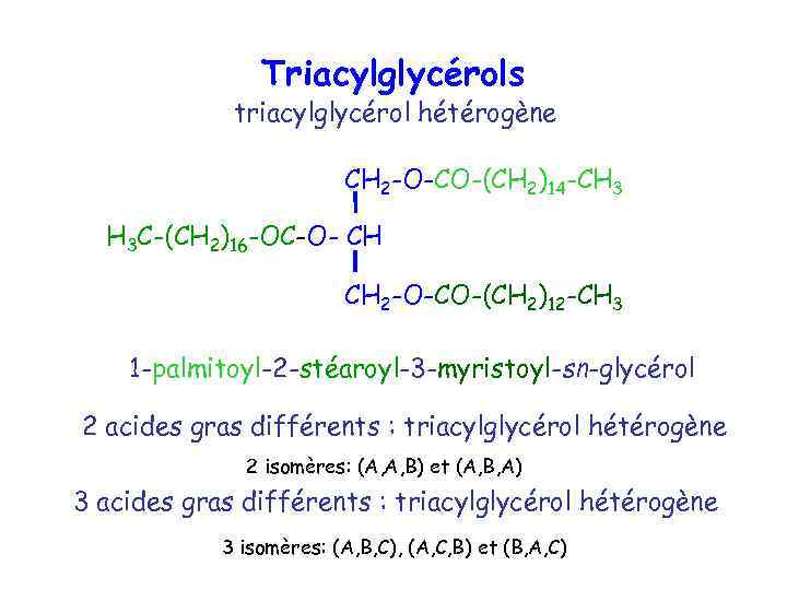 Triacylglycérols triacylglycérol hétérogène CH 2 -O-CO-(CH 2)14 -CH 3 H 3 C-(CH 2)16 -OC-O-