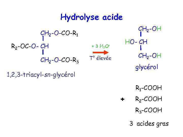 Hydrolyse acide CH 2 -OH CH 2 -O-CO-R 1 R 2 -OC-O- CH CH