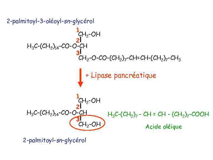 2 -palmitoyl-3 -oléoyl-sn-glycérol 1 CH 2 -OH 2 H 3 C-(CH 2)14 -CO-O-CH 3