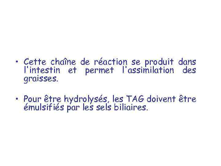  • Cette chaîne de réaction se produit dans l'intestin et permet l'assimilation des