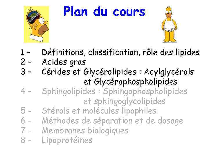 Plan du cours 1– 2– 3– 4– 5678 - Définitions, classification, rôle des lipides