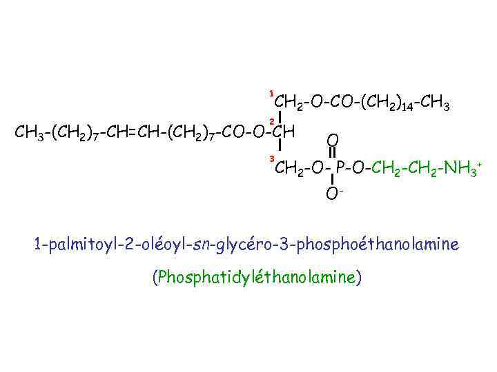1 CH 2 -O-CO-(CH 2)14 -CH 3 2 CH 3 -(CH 2)7 -CH=CH-(CH 2)7