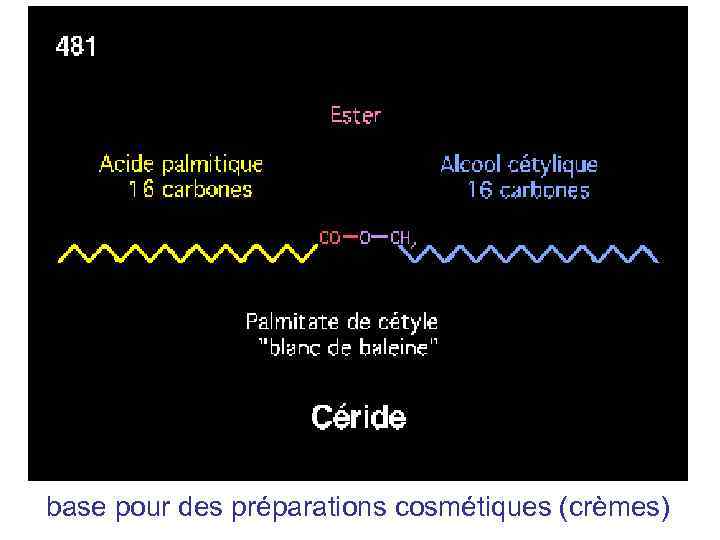 base pour des préparations cosmétiques (crèmes) 