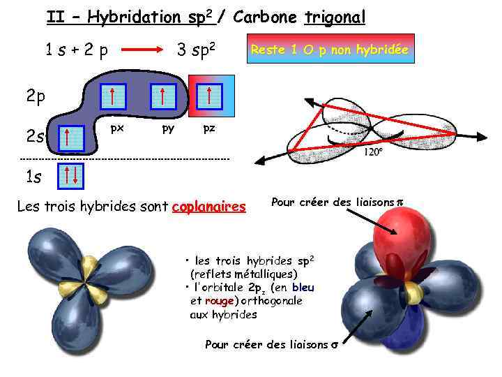 II – Hybridation sp 2 / Carbone trigonal 1 s+2 p 3 sp 2
