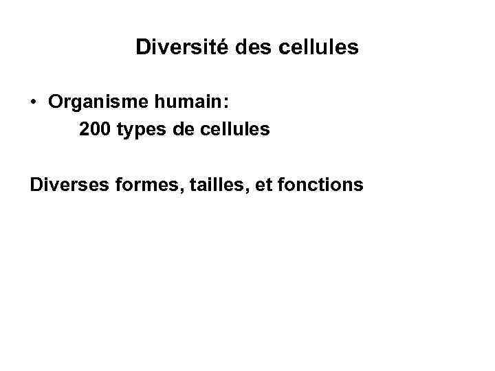 Diversité des cellules • Organisme humain: 200 types de cellules Diverses formes, tailles, et