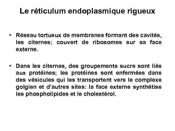 Le réticulum endoplasmique rigueux • Réseau tortueux de membranes formant des cavités, les citernes;