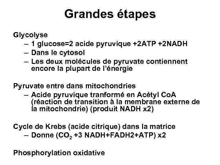 Grandes étapes Glycolyse – 1 glucose=2 acide pyruvique +2 ATP +2 NADH – Dans