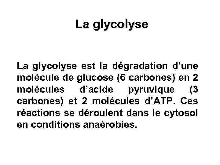 La glycolyse est la dégradation d’une molécule de glucose (6 carbones) en 2 molécules
