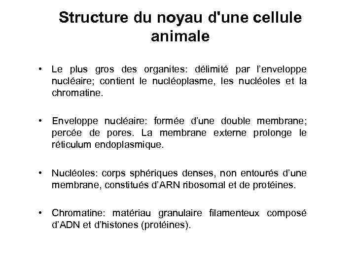 Structure du noyau d'une cellule animale • Le plus gros des organites: délimité par