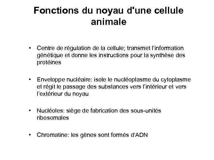 Fonctions du noyau d'une cellule animale • Centre de régulation de la cellule; transmet