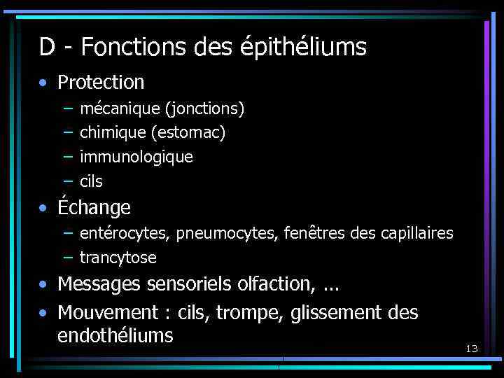 D - Fonctions des épithéliums • Protection – – mécanique (jonctions) chimique (estomac) immunologique