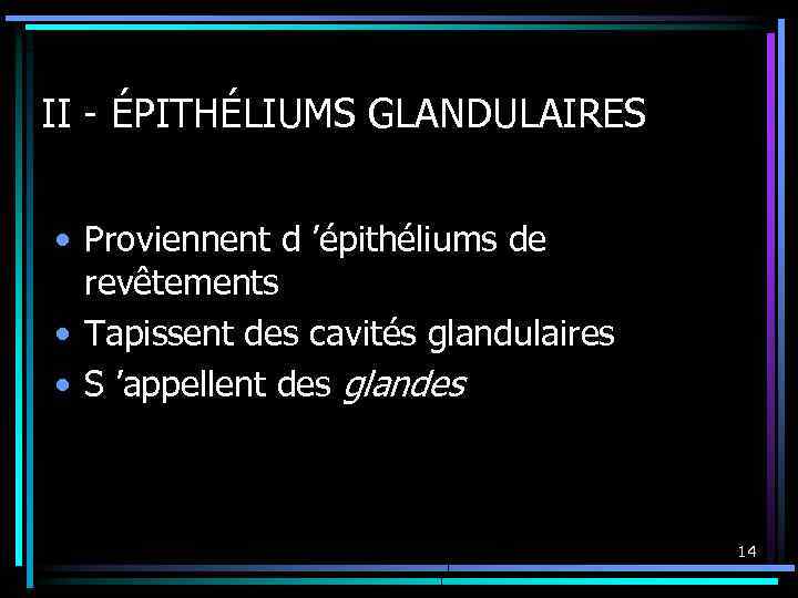 II - ÉPITHÉLIUMS GLANDULAIRES • Proviennent d ’épithéliums de revêtements • Tapissent des cavités