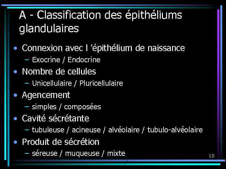 A - Classification des épithéliums glandulaires • Connexion avec l ’épithélium de naissance –