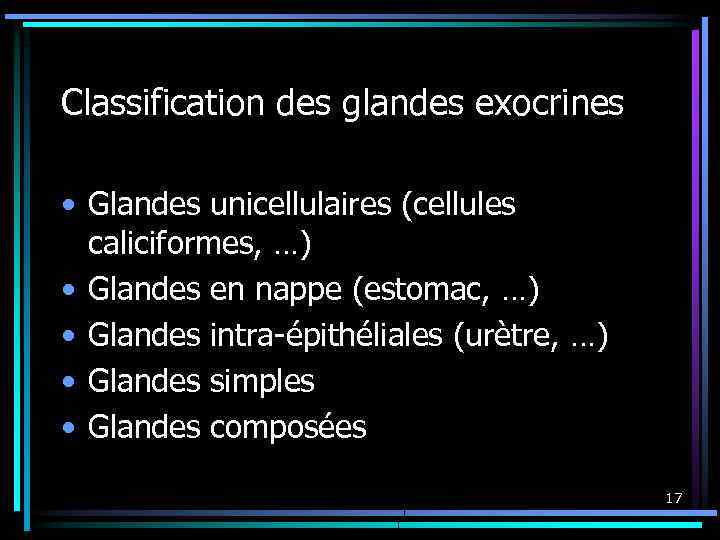 Classification des glandes exocrines • Glandes unicellulaires (cellules caliciformes, …) • Glandes en nappe