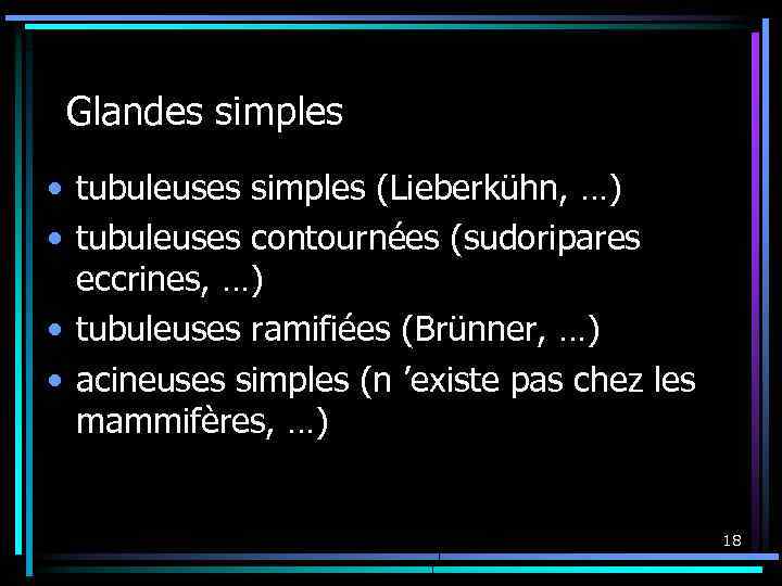 Glandes simples • tubuleuses simples (Lieberkühn, …) • tubuleuses contournées (sudoripares eccrines, …) •