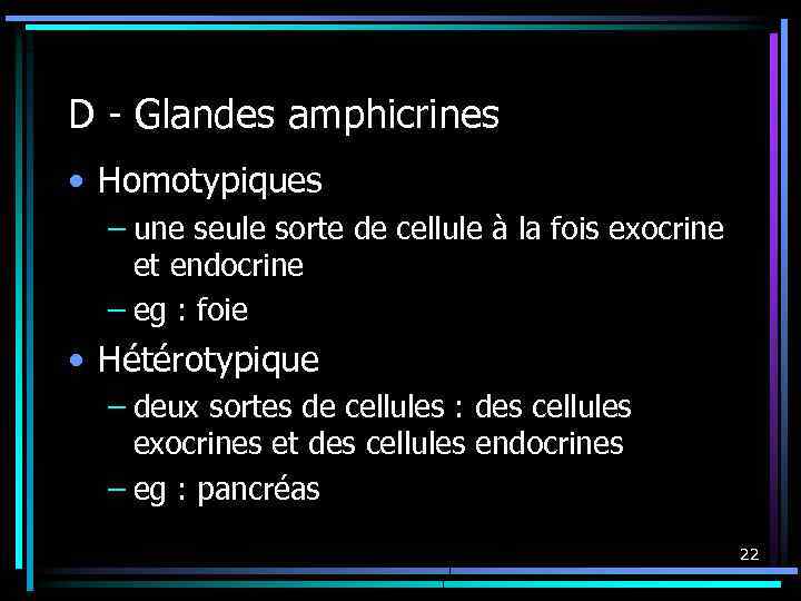 D - Glandes amphicrines • Homotypiques – une seule sorte de cellule à la