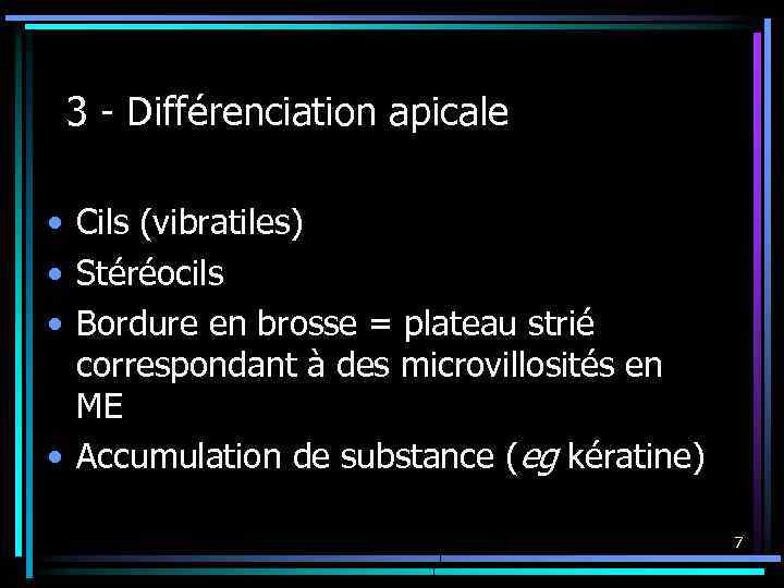 3 - Différenciation apicale • Cils (vibratiles) • Stéréocils • Bordure en brosse =